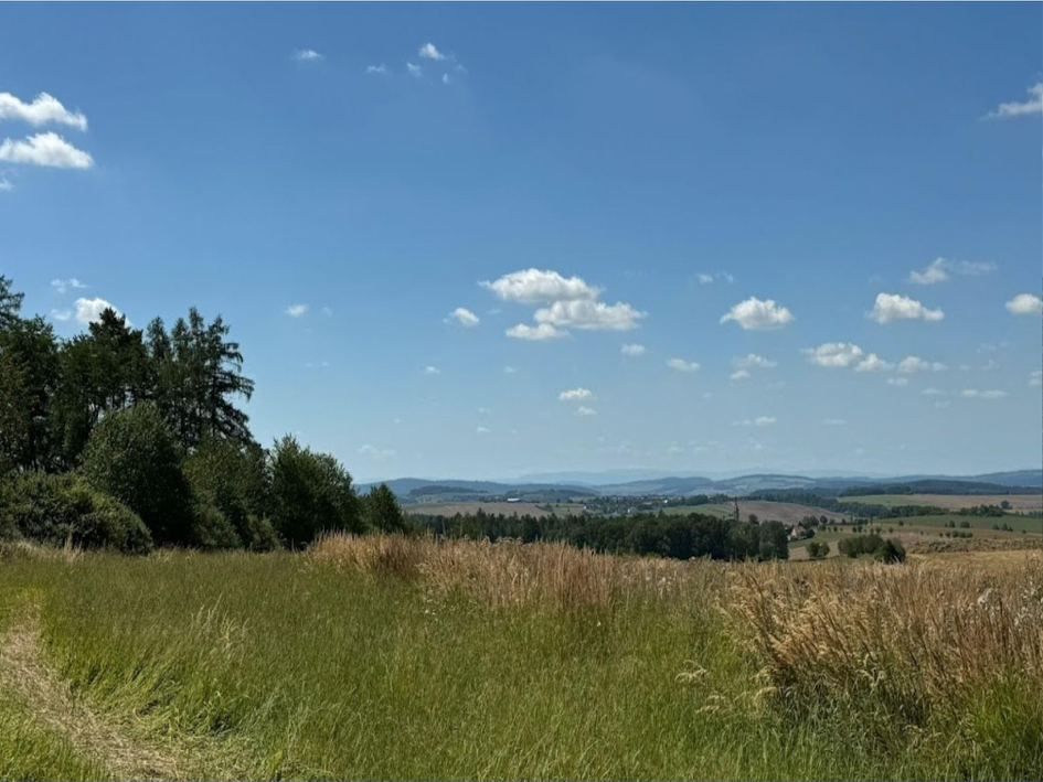 Pohled ze stavebního pozemku A směrem na jihozápad